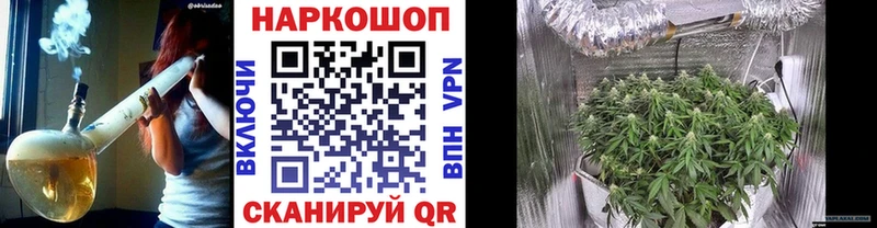 Где найти наркотики Дно ОМГ ОМГ ссылки  Бошки Шишки  Меф мяу мяу  ГАШ 