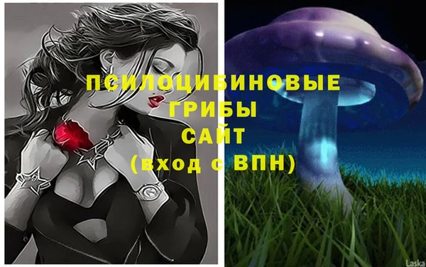 соль ск Алексеевка