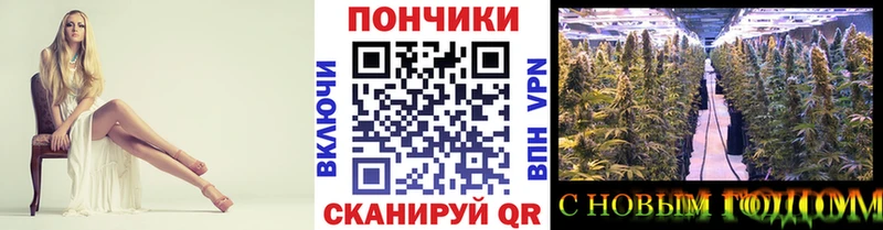 Бошки марихуана семена маркетплейс состав Дно сколько стоит